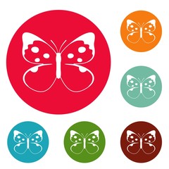 Big butterfly icons circle set vector isolated on white background