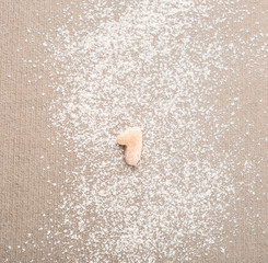 Figure ONE made of raw dough on flour
