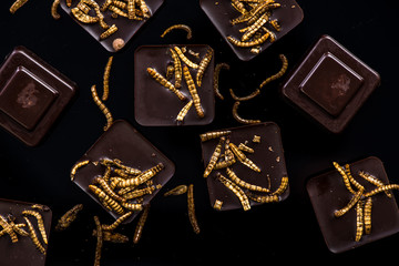 Chocolate with edible worms, culinary trends