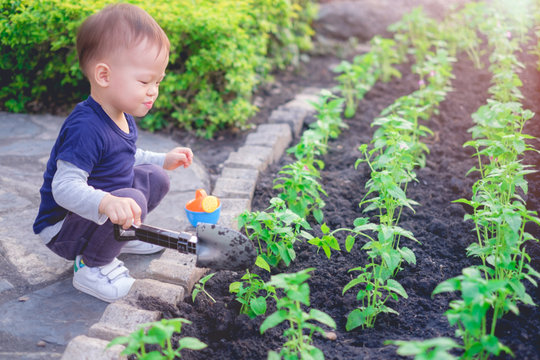 Cute smiling happy little Asian 18 months / 1 year old toddler baby boy child planting young tree on black soil in the green garden, Save the world and environment concept.