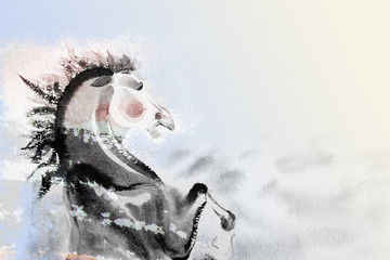 Abstract watercolor paintings the brush stroke colorful of horse © Painterstock