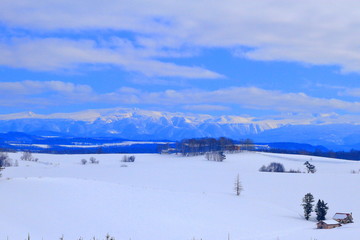 Winter scenery in Hokkaido - snowy field