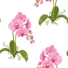 Realistic detailed drawing pink purple phalaenopsis moth orchid flowers, buds, green leaves, stem, roots. Exotic floral seamless pattern on white background. Vector design illustration.