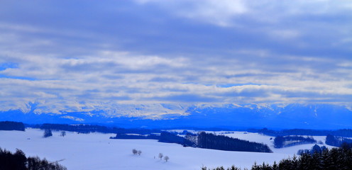 Fototapeta na wymiar Winter scenery in Hokkaido - snowy field