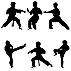 young karate boys © cat_arch_angel
