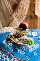 Fresh oyster on ice on a blue wooden table
