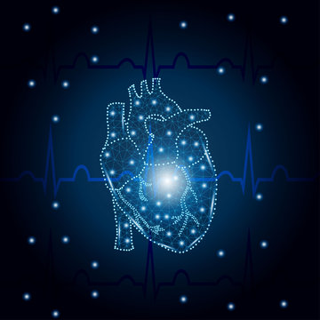 human heart polygon on ECG blue 1