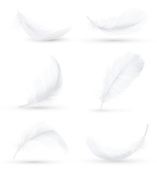 White Feathers Realistic Set