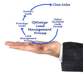 Optimize Lead Management Process