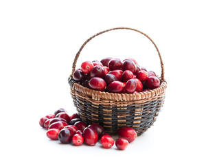Fototapeta na wymiar Fresh cranberries in small wicker basket isolated on white