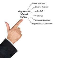 Diagram of Organization Values & Culture
