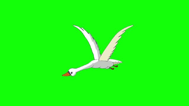 White Swan Flies  Chroma Key