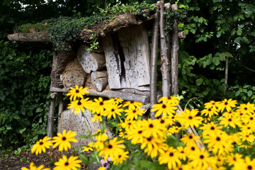 botanischer Garten in Köln