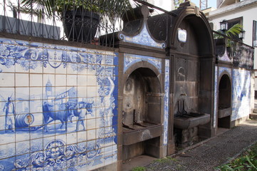 Madeira Funchal Kueste 2