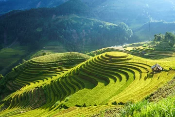 Crédence en verre imprimé Mu Cang Chai Terraced rice field in harvest season in Mu Cang Chai, Vietnam. Mam Xoi popular travel destination.