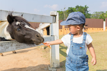 Asian cute baby girl feeding carrot for dwarf horse.
