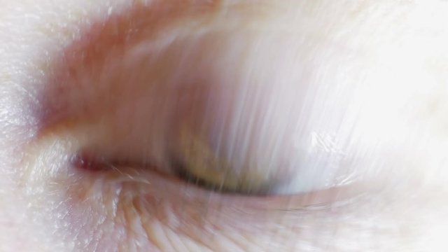 Extreme close-up view of man's eye. Chaotically rotate eyeball and often blinking. The structure of the human eye.