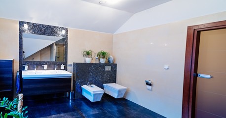 Fototapeta na wymiar Modern restroom with washbasin