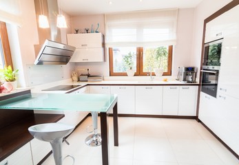 White modern kitchen