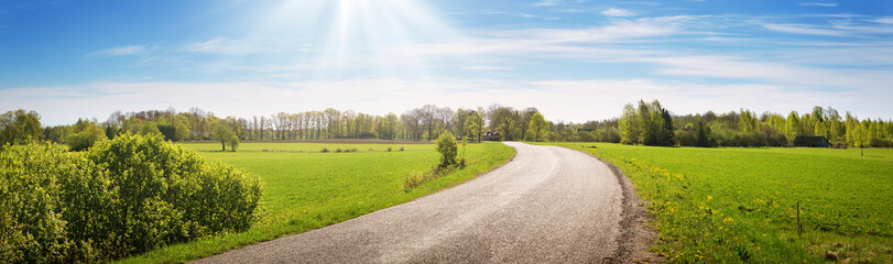 Fototapeta na wymiar asphalt road panorama in countryside on sunny summer day