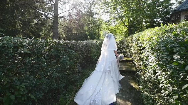 the bride goes along the path between the bushes