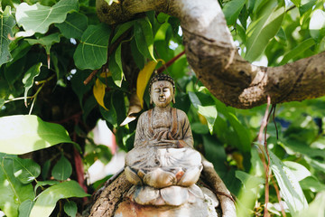 close-up view of small buddha statue under green leaves in Hoi An, Vietnam