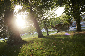 Fototapety na wymiar - Fototapeta24.pl