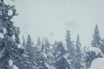 Beautiful winter landscape with snow covered trees