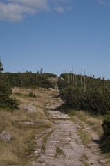 Fototapeta premium Hiking trail in mountain - Karkonosze 