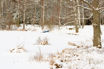 Dark blue rowboat frozen in a forest lake.