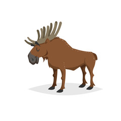Cartoon cheerful standing moose. Forest Europe and North America animal. Flat with simple gradients trendy design. Education vector illustration.