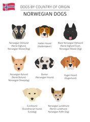 Obraz na płótnie Canvas Dogs by country of origin. Norwegian dog breeds. Infographic template