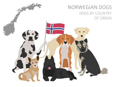 Dogs by country of origin. Norwegian dog breeds. Infographic template