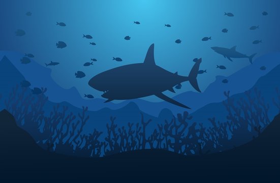Ocean underwater world with shark, vector illustration