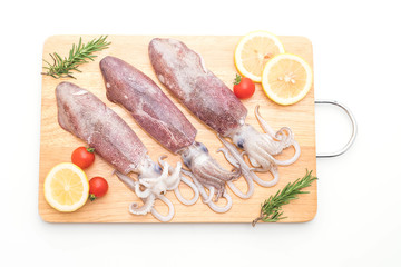 fresh octopus or squids raw