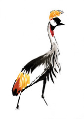 Рисунок акварелью "Восточный венценосный журавль"