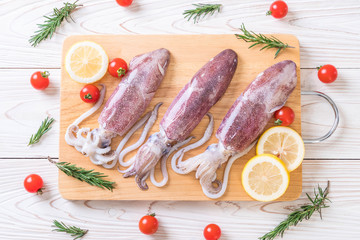 fresh octopus or squids raw on wooden board