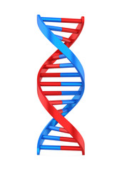 DNA Molecule Illustration