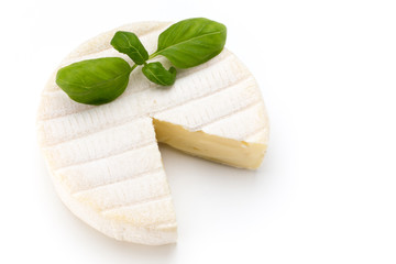 Piece of camembert cheese isolated on white background. From top view.