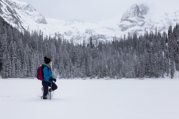 Naklejka na ściany i meble Adventurous girl snowshoeing in Joffre Lake, British Columbia, Canada.