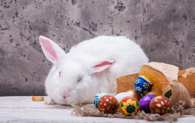 Rabbit easter celebration