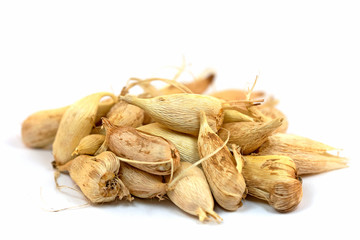 Freesien, Zwiebeln, Blumenzwiebeln