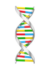 DNA Molecule Illustration