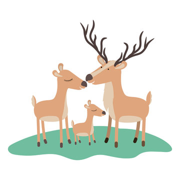 cartoon deer couple and calf over grass in colorful silhouette on white background vector illustration