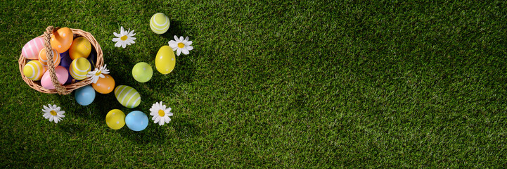 above top view of multi colored painted easter eggs on the green grass with springtime daisy flowers