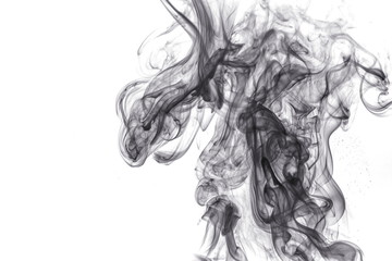 Fototapeta premium Black smoke on white background