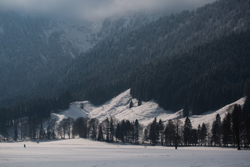 cross-country skiing in bayrischzell, winter landscape