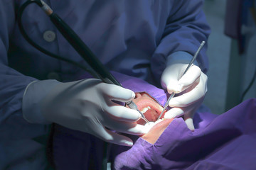 Dentist very carefully check up and repair tooth of his young female patient