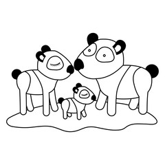cartoon pandas couple with cub over grass in black silhouette vector illustration