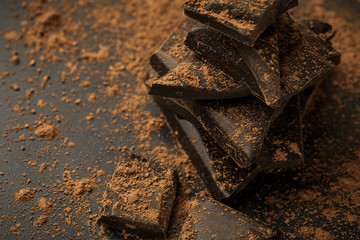 Pieces of dark chocolate in cocoa powder